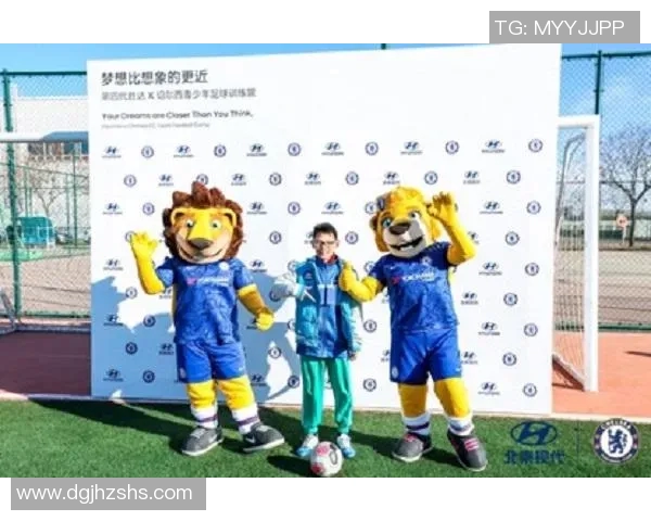 23号球星闪耀绿茵场 足球世界中的传奇人物与未来之星